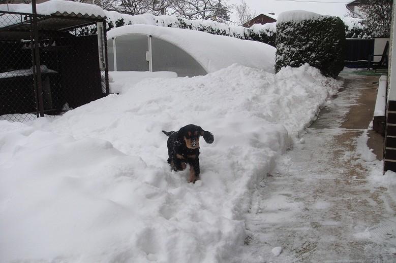 Art_25.1.2010 (7).JPG